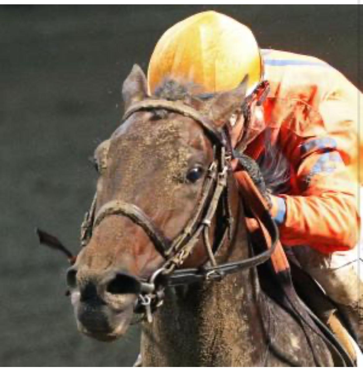 D. Whitworth Beckman at Churchill Downs